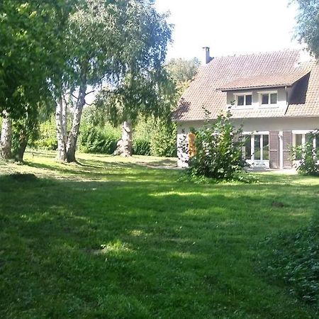 Villa - Coulommiers - Parcs Des Felins - Provins Beautheil-Saints Bagian luar foto