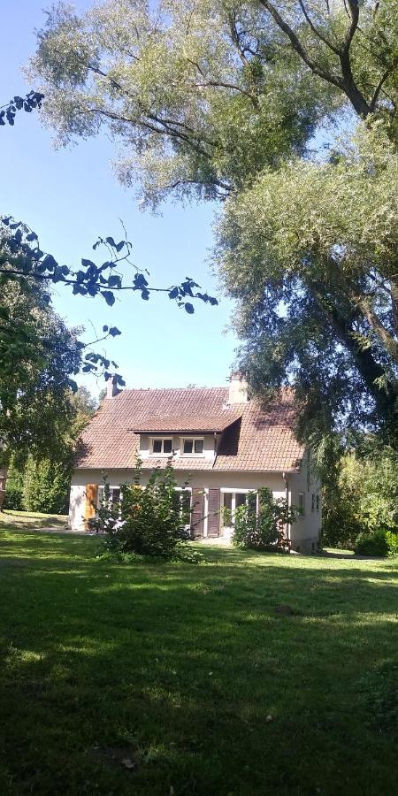Villa - Coulommiers - Parcs Des Felins - Provins Beautheil-Saints Bagian luar foto