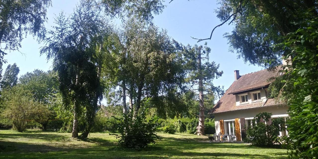 Villa - Coulommiers - Parcs Des Felins - Provins Beautheil-Saints Bagian luar foto