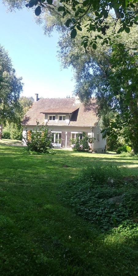 Villa - Coulommiers - Parcs Des Felins - Provins Beautheil-Saints Bagian luar foto