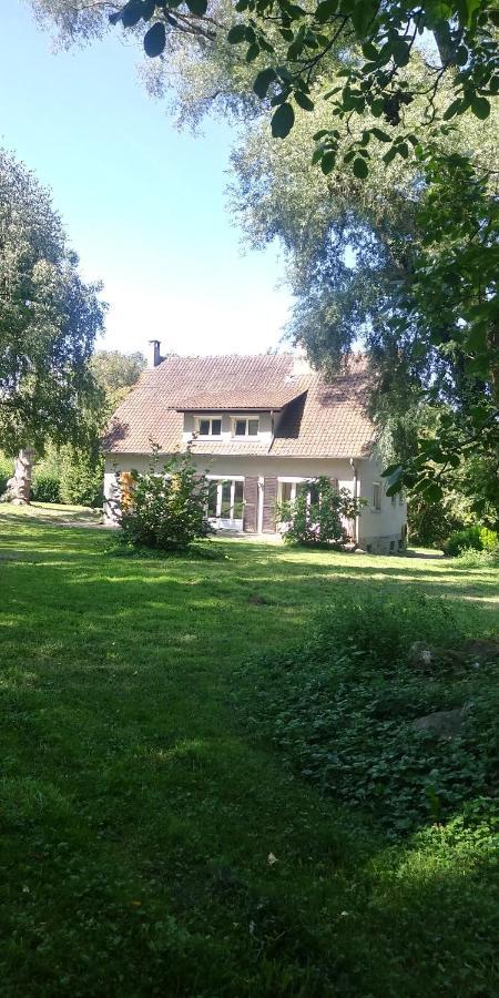 Villa - Coulommiers - Parcs Des Felins - Provins Beautheil-Saints Bagian luar foto