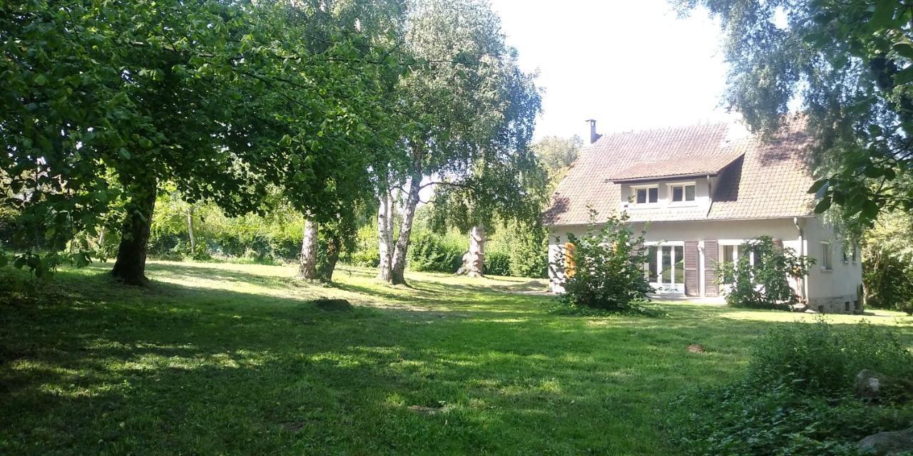 Villa - Coulommiers - Parcs Des Felins - Provins Beautheil-Saints Bagian luar foto