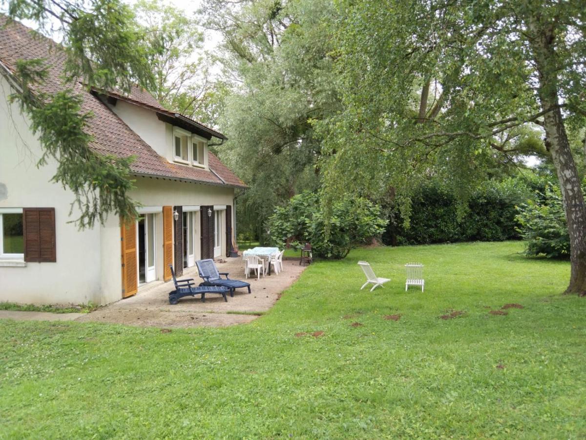 Villa - Coulommiers - Parcs Des Felins - Provins Beautheil-Saints Bagian luar foto